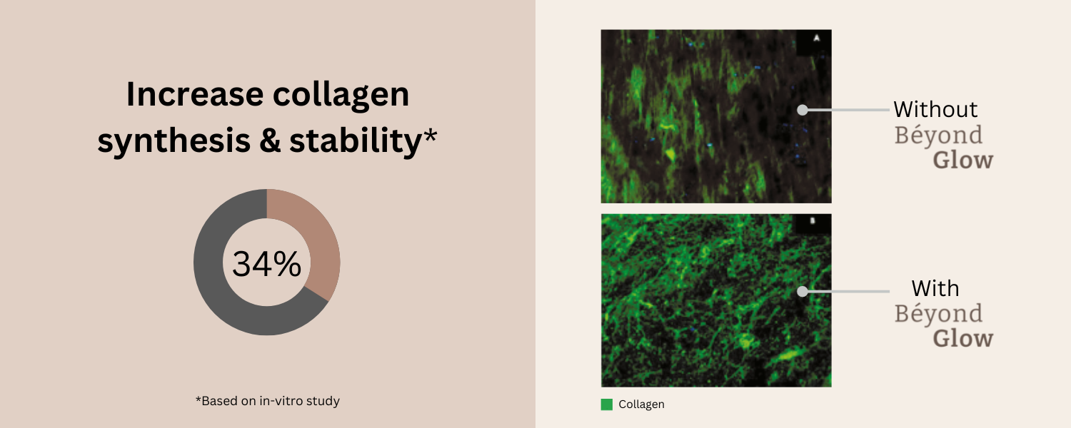Vegan collagen booster in Béyond Glow clinically proven to increase collagen synthesis