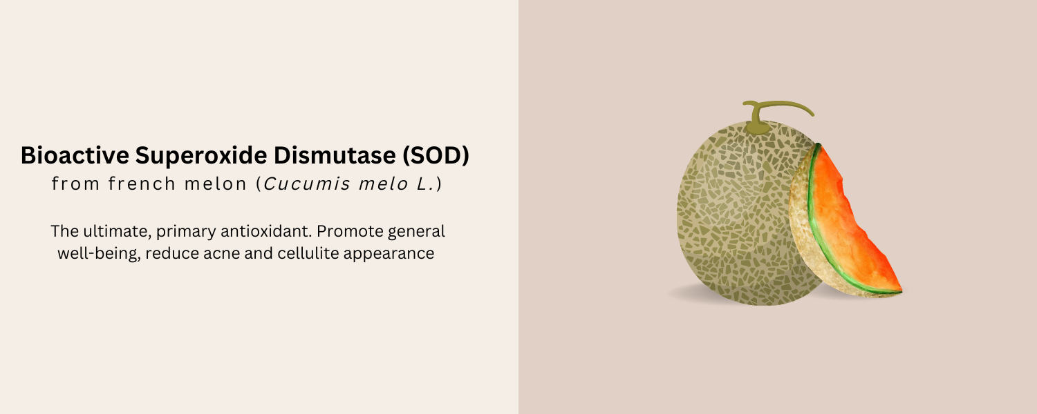 SuperOxide Dismutase (SOD)_Oxidative protection in Béyond Glow
