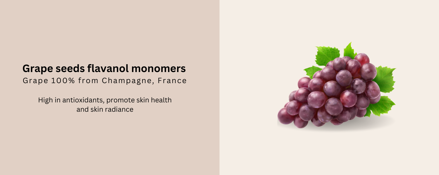 Grape seed extract (flavanol monomers)_Collagen protection in Béyond Glow