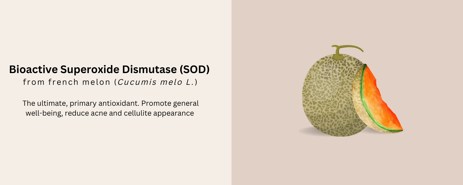 SuperOxide Dismutase (SOD)_Oxidative protection in Béyond Glow 