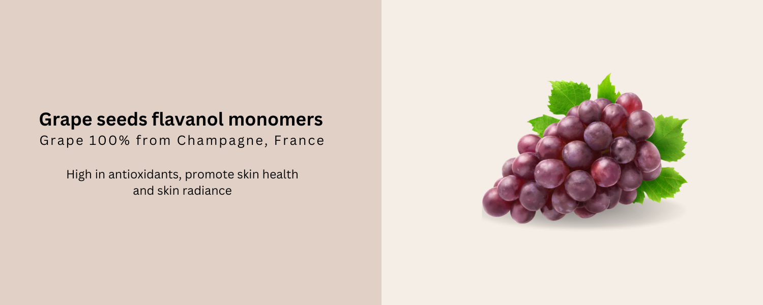 Grape seed extract (flavanol monomers)_Collagen protection in Béyond Glow 